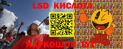 гидропоника Гудермес