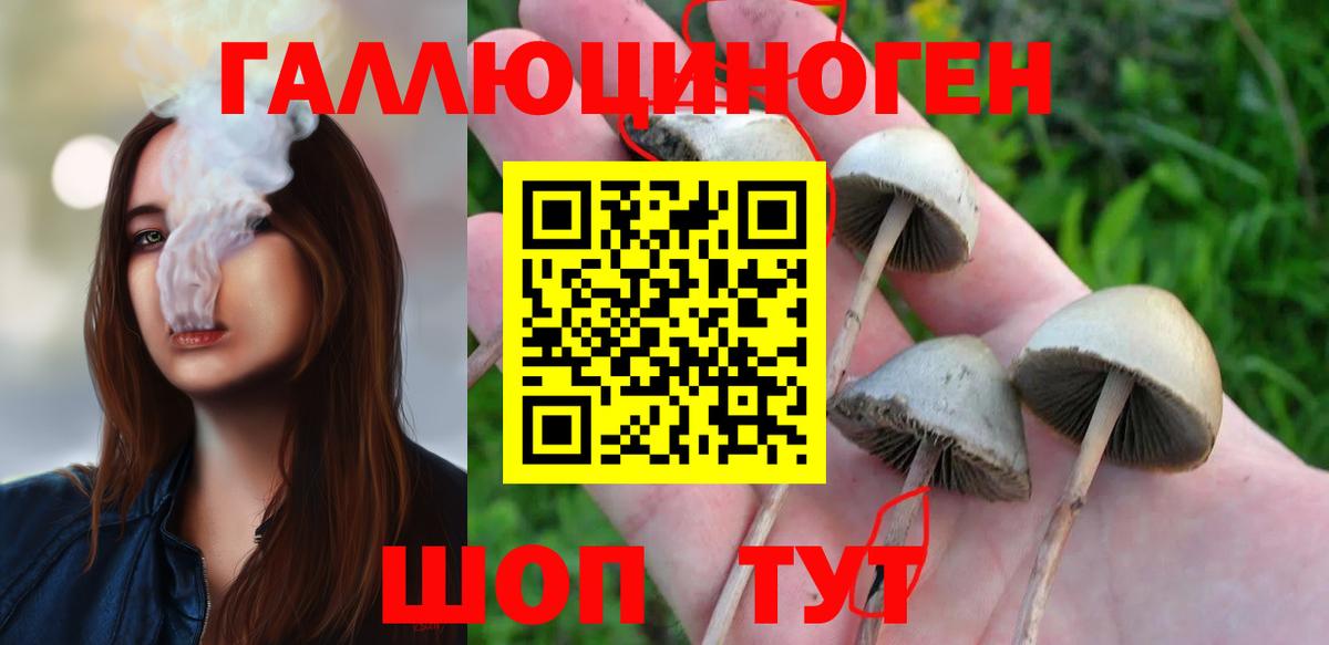 Псилоцибиновые грибы Psilocybine cubensis  Вход с VPN  Белорецк 